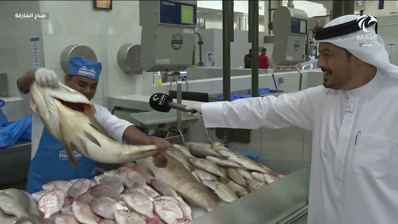 أسعار و أنواع الأسماك في سوق الجبيل 16-05-2025