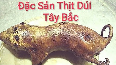 Đặc Sản Thịt Dúi | Độc Lạ Với Cách Chế Biến Đặc Sản Thịt Dúi Tây Bắc  | Dân Tộc Tây Bắc