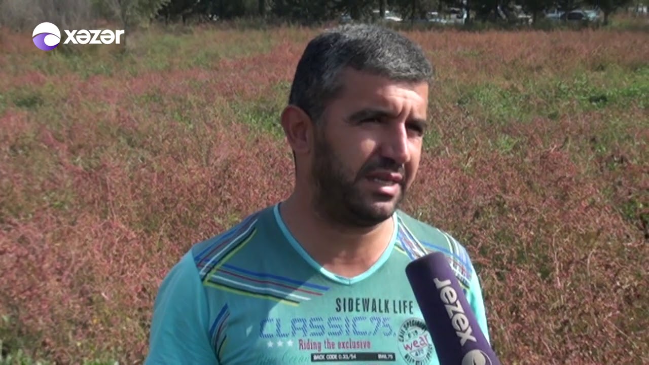 Erməni terrorunun növbəti ünvanı - Bərdənin Qarayusifli kəndi