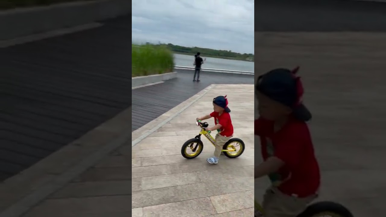 Shawn's Balance Bike  