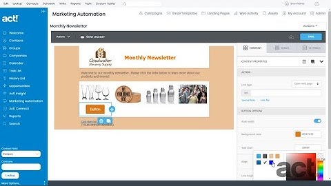 Act! Training Videos - AMA: Add Buttons to Your Template