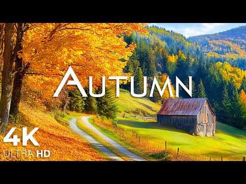 4K Beautiful Relaxing Music 🍁 Enchanting Autumn Nature Scenes with Forest Sounds & Peaceful Music