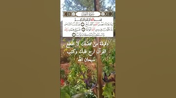 سورة النصر بصوت الشيخ احمد خضر الطرابلسي صوت جميل