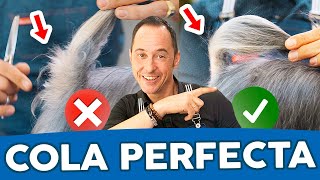 TRUCOS FÁCILES para CORTAR el pelo del RABO o COLA a un PERRO