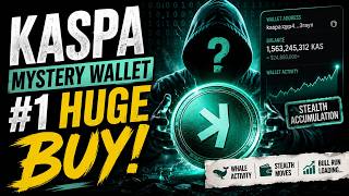 Wallet #1 LOADS UP