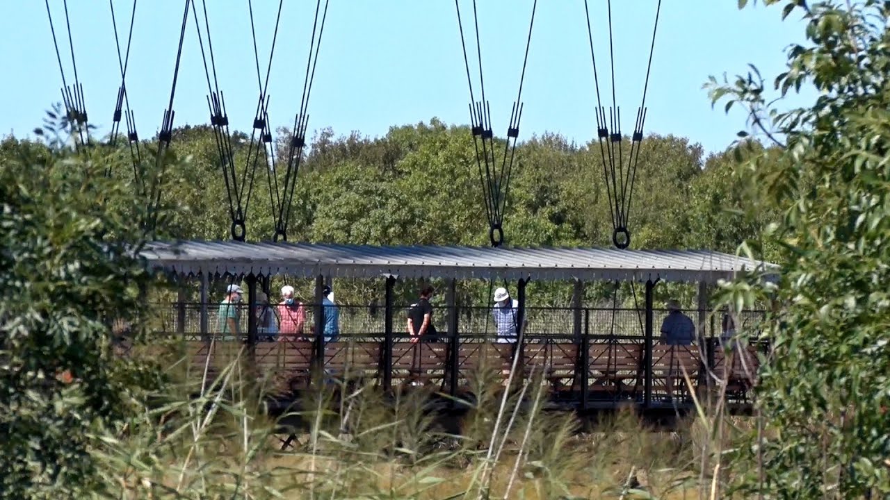 Pont transbordeur de Rochefort - Quelques minutes en 1900... entre ciel et fleuve !