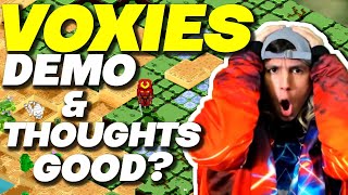 Voxies video