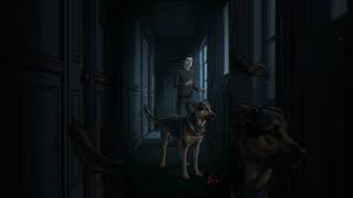 si tu perro mira la puerta de madrugada 🐕