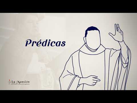 Reflexión del Evangelio, Domingo 31 de mayo | San Juan 3, 16-18