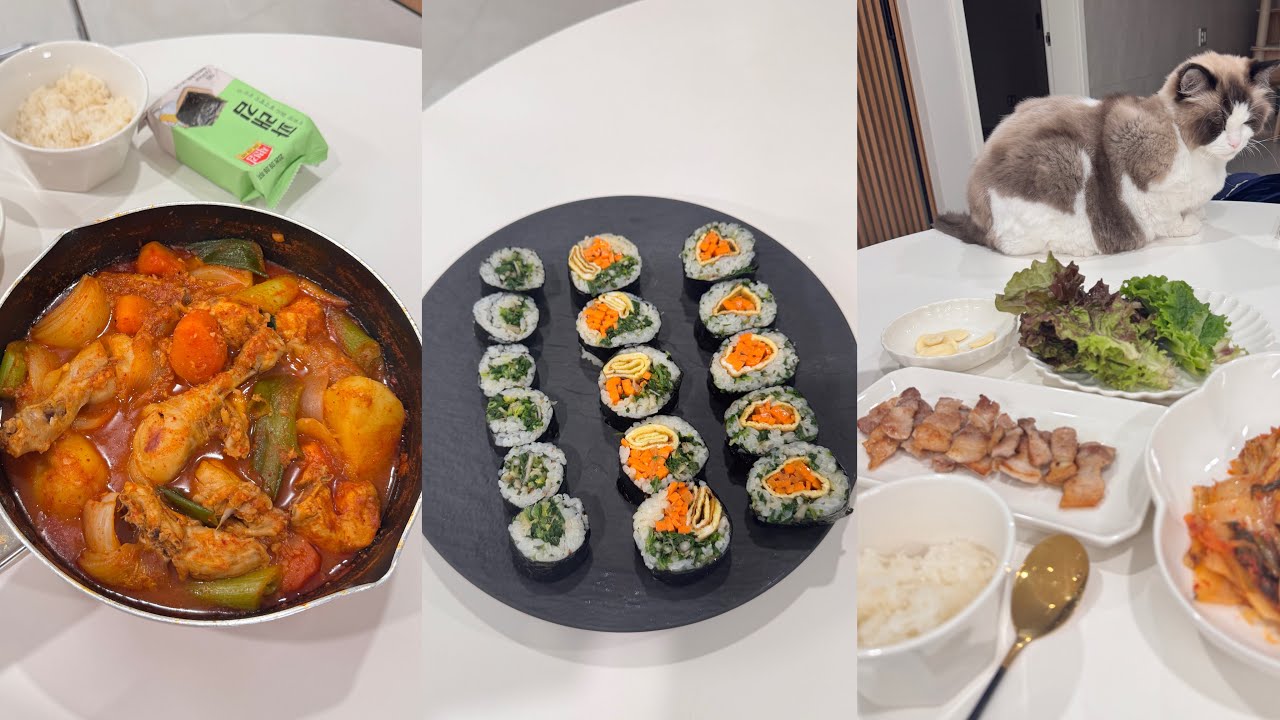 영양사 2월 집밥, 냉이김밥, 삼겹살, 닭도리탕, 소고기무국, 현대백화점 웰니스 시장조사