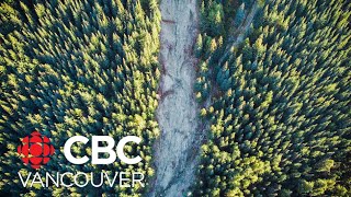 Calls grow for improved safety on B.C.'s forest service roads