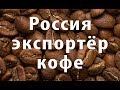 Россия на рынке кофе. Кофейный бизнес в Крыму