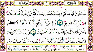 القرآن الكريم مقسم صفحات | الشيخ حاتم فريد | سورة البقرة | صفحة 8 مكتوبة | مصحف التجويد الملون HD