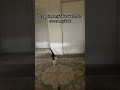 #memes #food #whowillbemylifepartnerta #cat #relatable #onlycooltheroomsyouneed #cats #cooking #lol