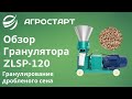 Обзор гранулятора ZLSP-120. Гранулирование дробленого сена. Агростарт.