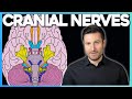 Easiest way to remember cranial nerves  corporis