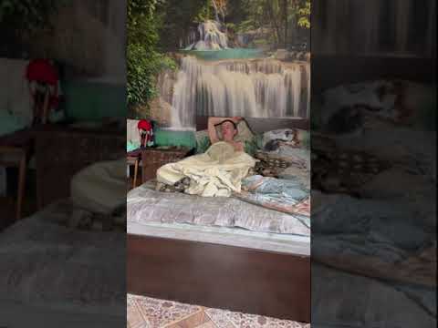 иришка изменила паше