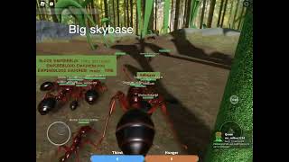 Epic ant war in roblox ant life [beta testing]