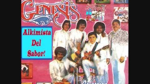 ORGANIZACION GENESIS - ME HA DOLIDO