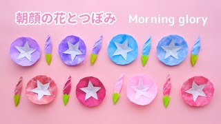 折り紙【朝顔の花と蕾(つぼみ)】の作り方＊How to make Origami Morning glory flower & bud.