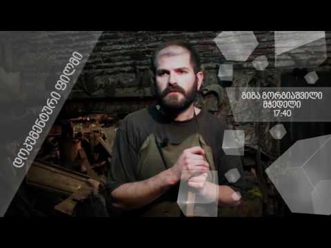 პერსონა - გორგიაშვილი