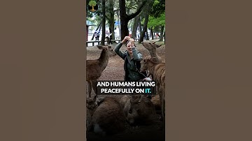 The Future Is Ours to Shape—Which Path Will We Choose