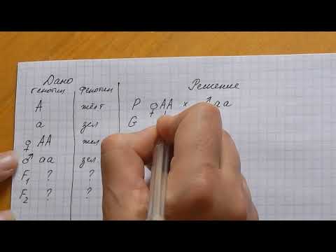 Видео: Яагаад удамшлын нөхцлийг даатгалд хамруулах нь том асуудал юм