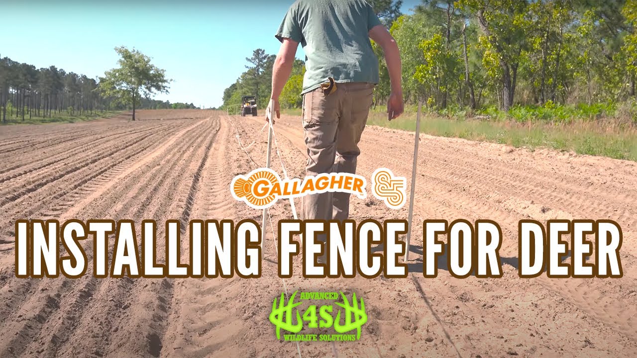 Installing a Gallagher Fence for Deer 