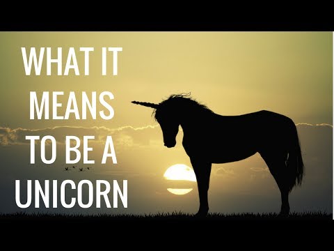 What it Means to be a Unicorn