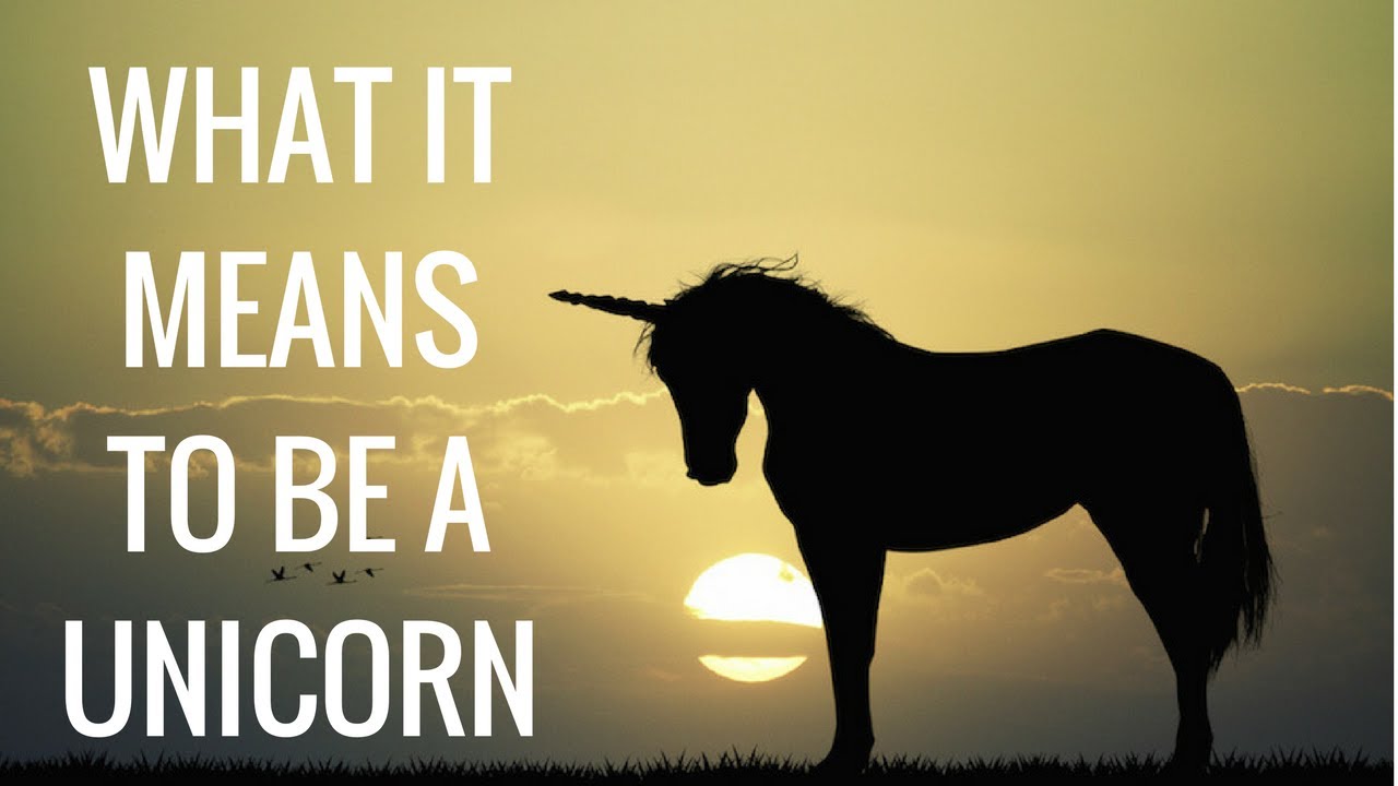 What it Means to be a Unicorn - YouTube