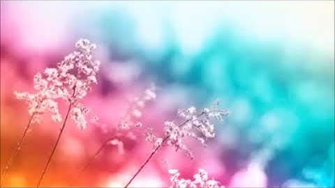 رعد محمد الكردي سورة الحجر بقراءة عذبة