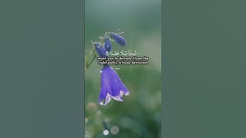 لنتدبر معاني الايات من سورة النساء #quran #القرآن_الكريم