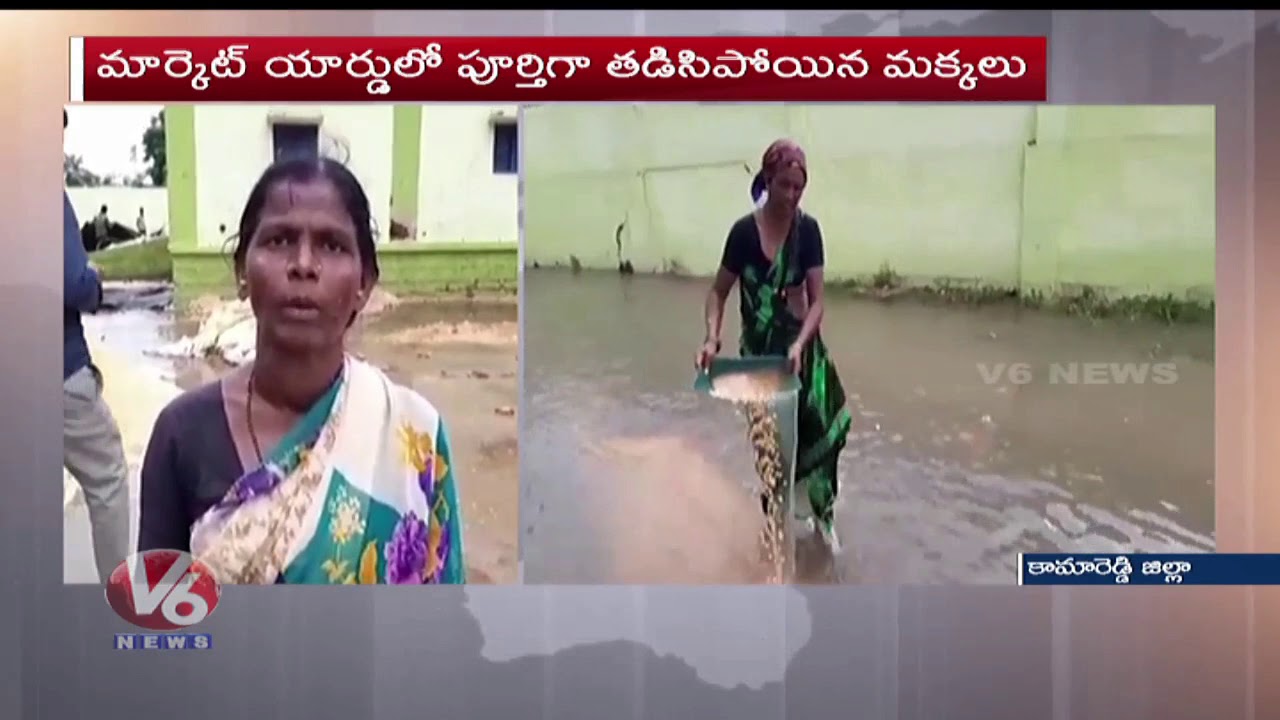 Heavy Rains Damage Corn Crop in Kama Reddy Market Yard | V6 Telugu News ...