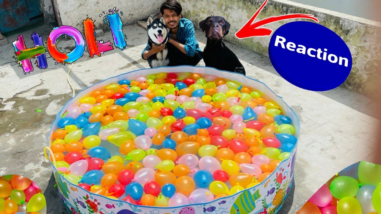 1000 Water Balloons In My Dog Pool Dog can talk part 99 Roxy The