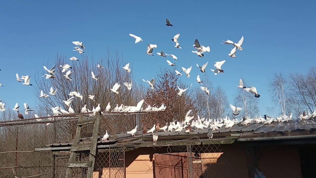 400 w górze pierwszy raz!!!