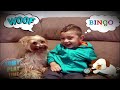 BINGO | Nursery Rhymes | from LittleBabyBum! | ABCs and 123s
