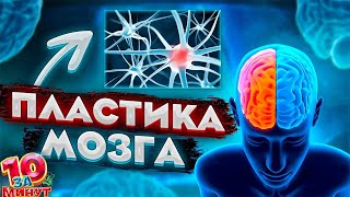 Пластичность мозга за 10 минут от Евгения Вольнова