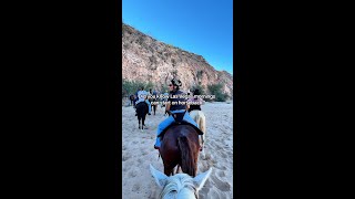 Try This Next in Las Vegas!