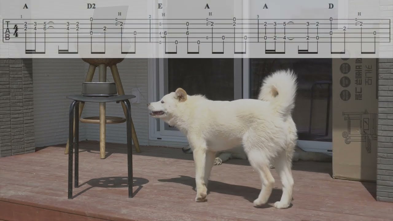 [Fingerstyle Guitar Tab] Chicago - You are the inspiration