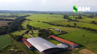 Descubra o HARAS DOS SONHOS em Quadra-SP: Uma Experiência Única à Venda!