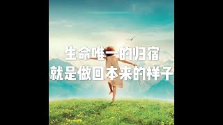 201712 生命唯一的归宿就是做回本来的样子22784