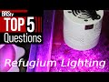 5 Answers To Get MORE Out Of Your Reef Tank S Refugium Light 5 Answers To Get MORE Out Of Your Reef Tank S Refugium Light