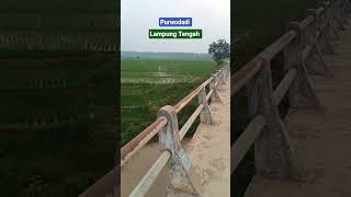 Alam pedesaan yang sunyi