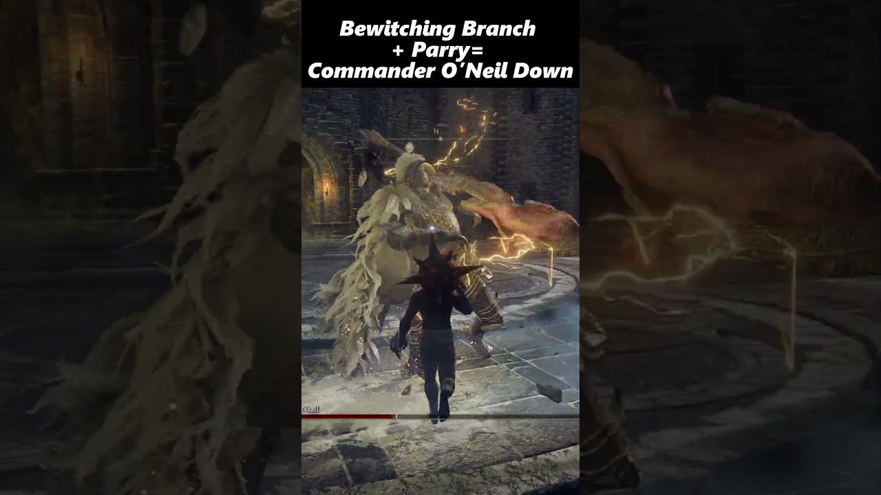 Bewitching Branch + Parry = Commander Niall Down