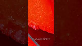 Elastic Engineers vs Plastic Architects: The Great Micro Construction Showdown #asmr #relaxing