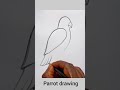 Parrot drawing easy