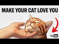 6 Scientific Ways to Get Your Cat to Like You (That Actually Work)