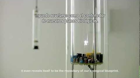 Transducers - Premios VIDA 13.2