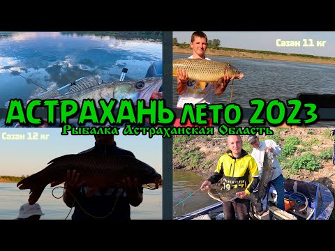 Астрахань 2023 / Рыбалка на реке Ахтуба Лето