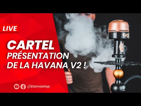 Chicha Cartel Havana V2 vidéo